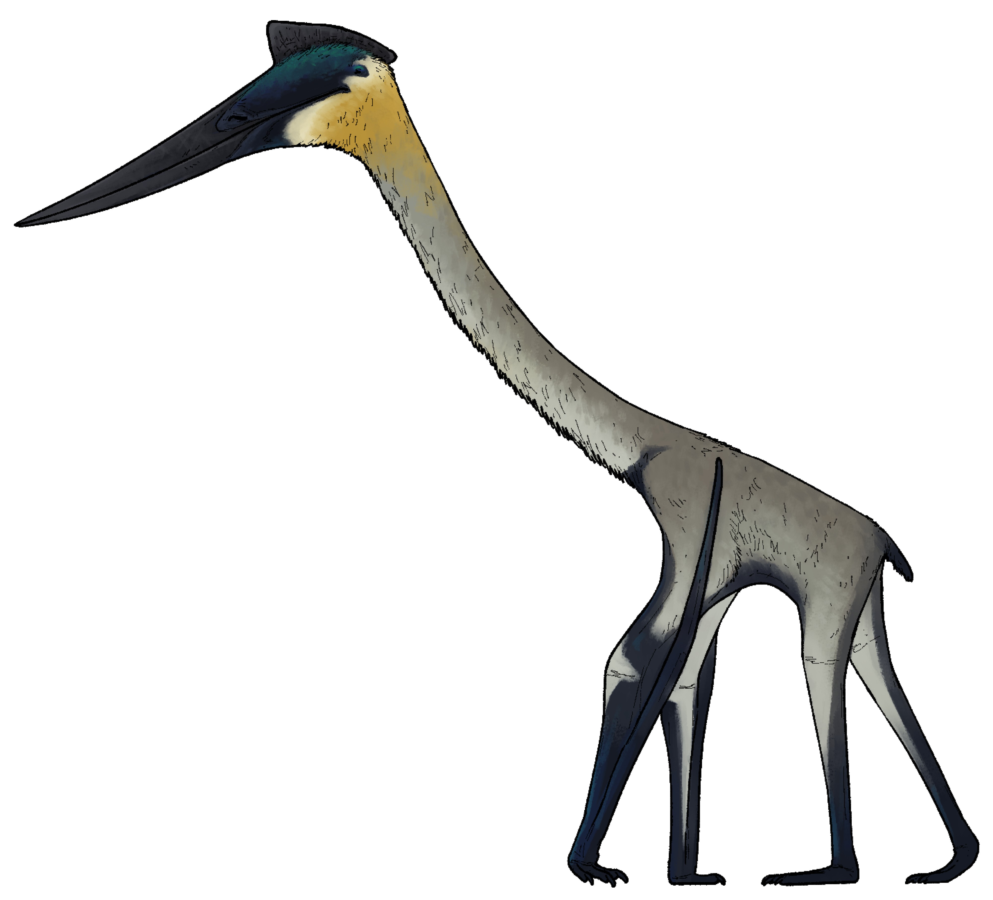 Pterossauros