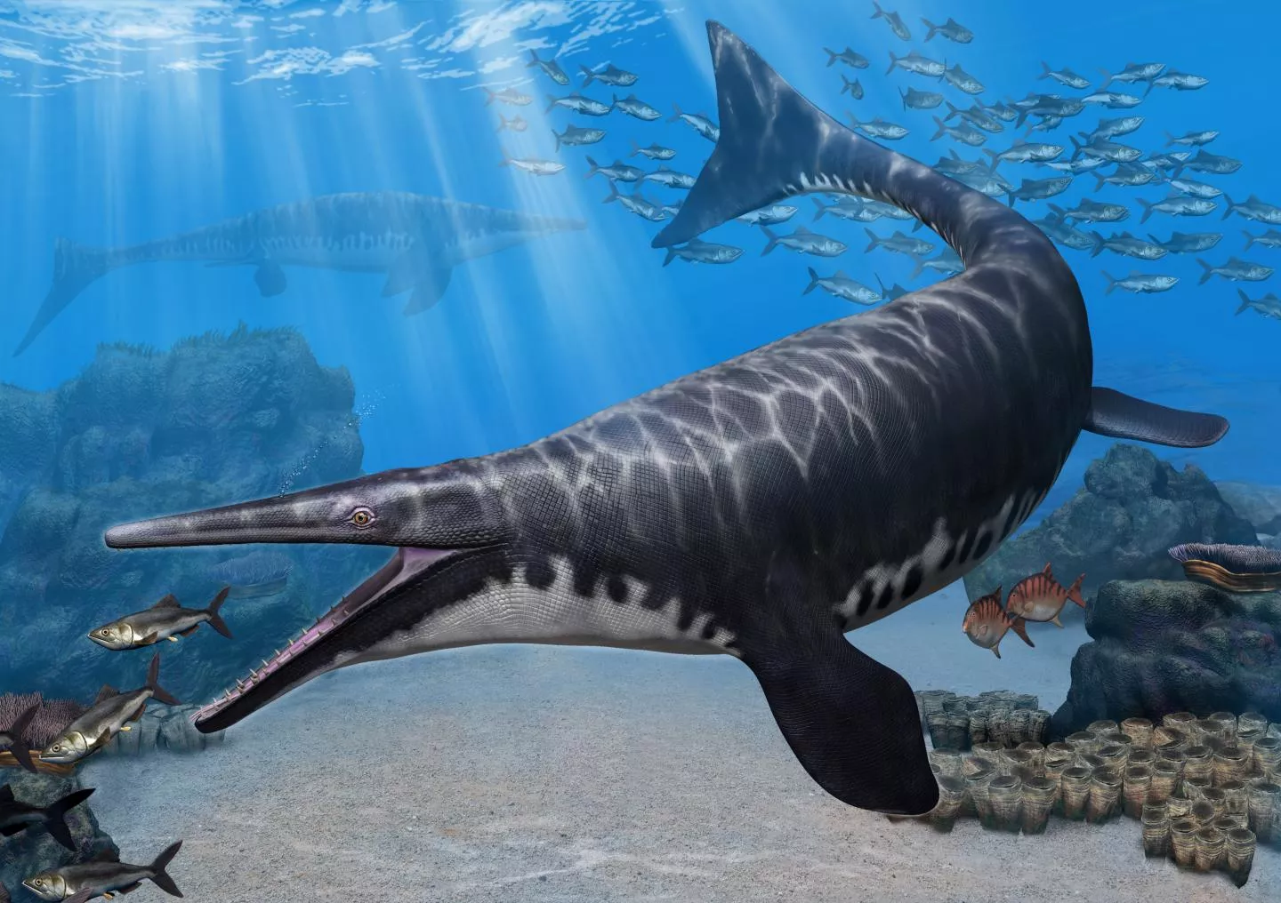 Reconstituição de Mosasaurus hoffmannii em seu ambiente marinho do Cretáceo Superior.