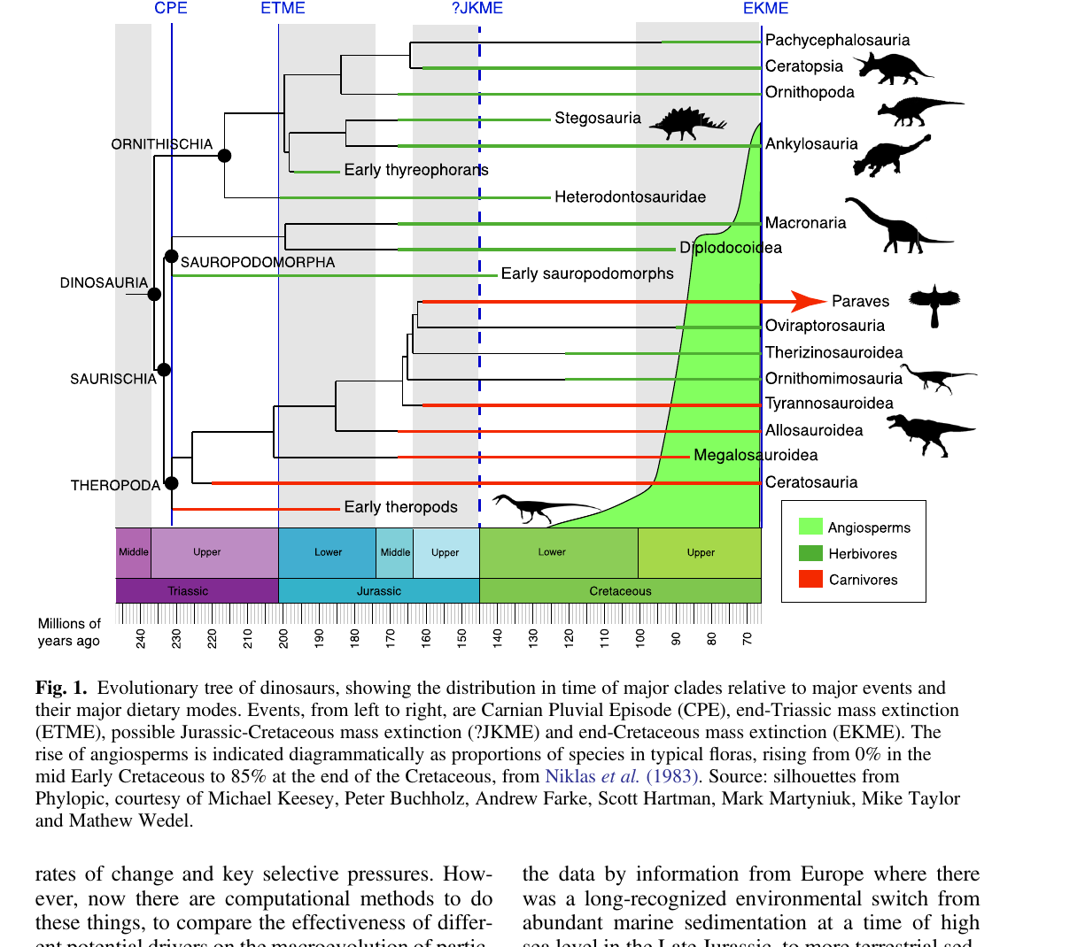 Evolutionary tree of dinosaurs with the rise of angiosperms plotted alongside