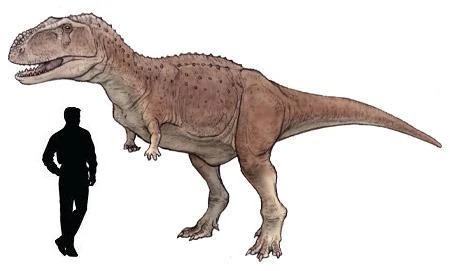 Comparação de tamanho entre Abelisaurus comahuensis e um ser humano adulto.