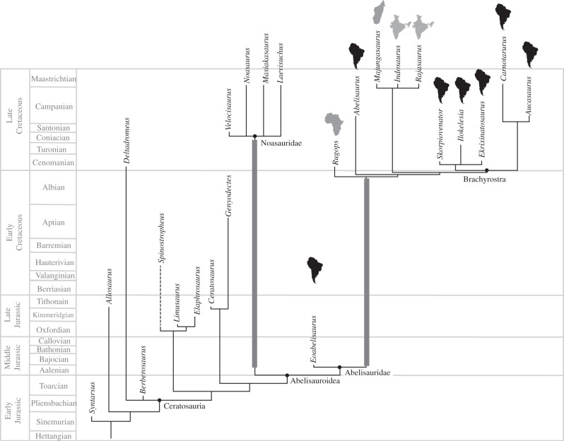 Calibrated phylogeny of ceratosaurian theropods. Thick grey lines indicate major ghost lineages in noasaurids and abelisaurids, resulting from the phylogenetic relationships of Eoabelisaurus . Dashed line in Spinostropheus indicates stratigraphic uncertainty for this taxon [ 16 ]. For abelisaurids, outlines of continents indicate geographical distribution.