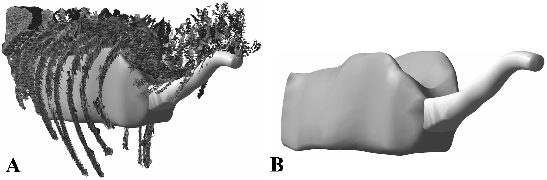 Figure 3. Best estimate reconstructions of thoracic and pharyngeal air sacs in Tyrannosaurus rex MOR 555, shown in oblique right craniolateral views.