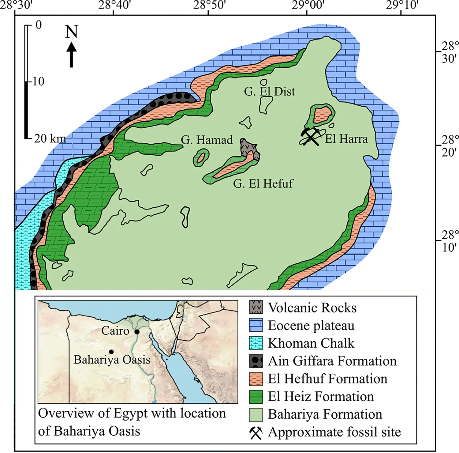 Fig 1. Geological map of the Bahariya Oasis showing approximate fossil sites of SNSB-BSPG 1922 X 46.