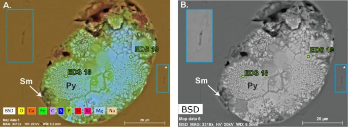 Fig. 3