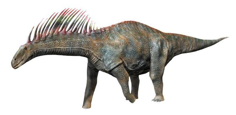Amargasaurus cazaui