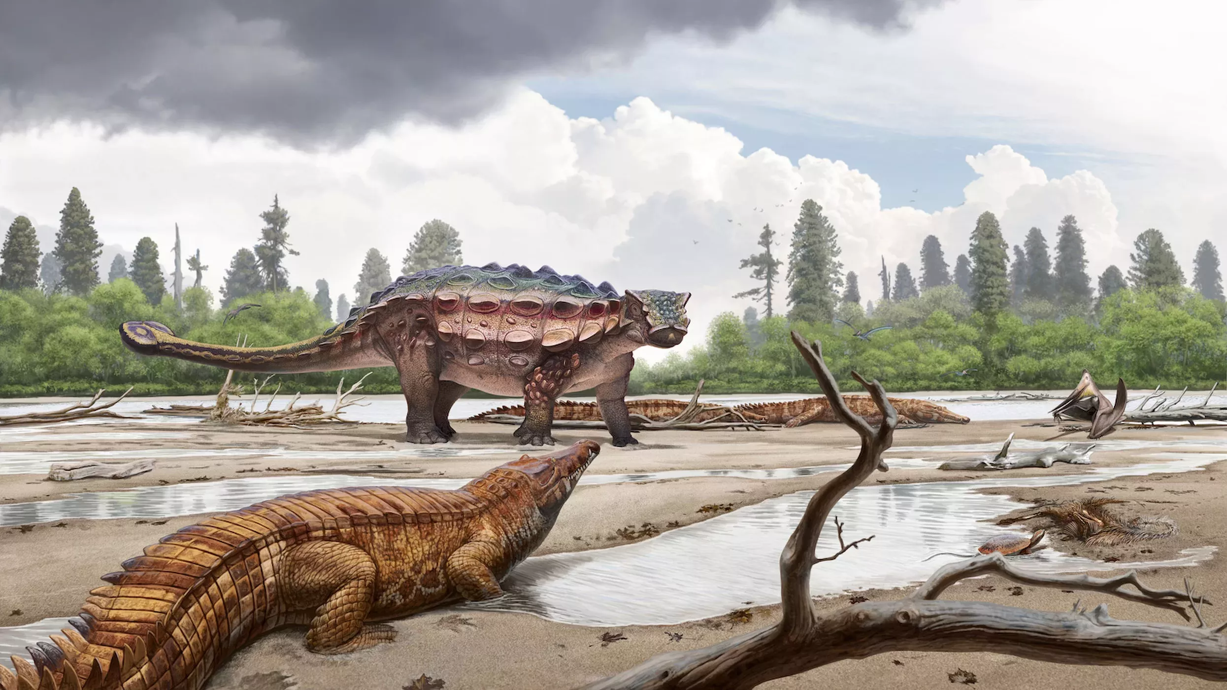 Paleoarte de Ankylosaurus magniventris destacando a textura da pele e osteodermes.