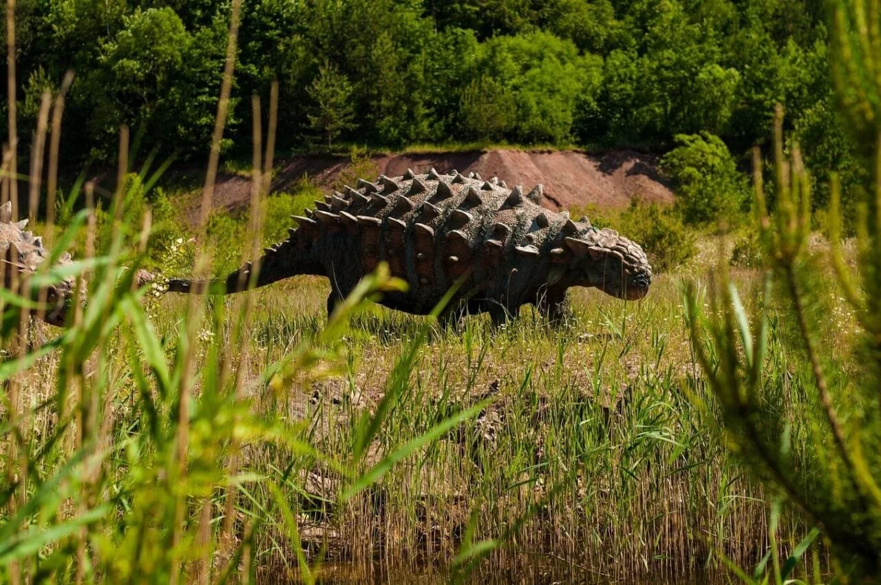 Ankylosaurus in a Late Cretaceous landscape scene with period vegetation.