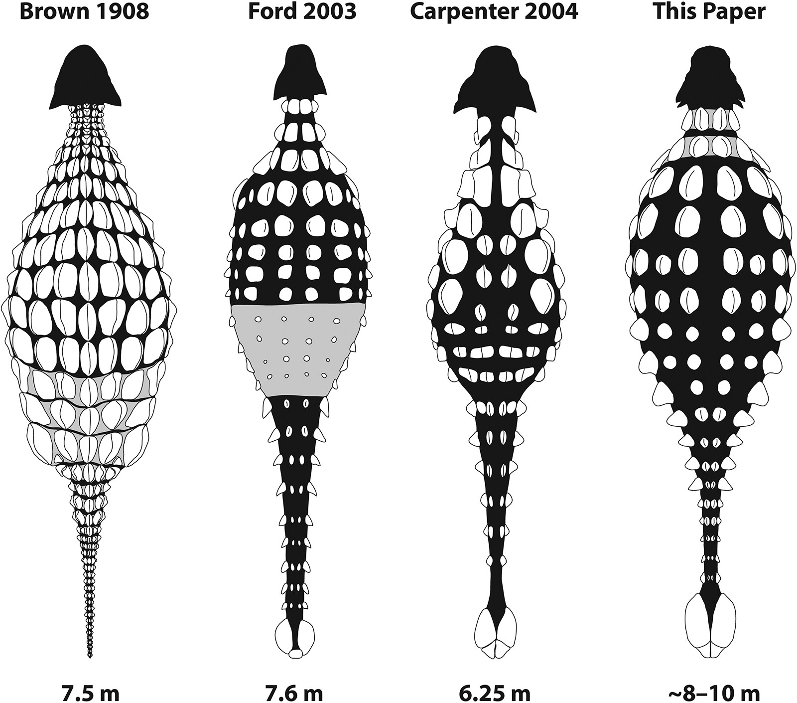 Figura 9 de Arbour & Mallon (2017): comparação das hipóteses de armadura corporal de Ankylosaurus ao longo do tempo (Brown 1908, Ford 2003, Carpenter 2004, Arbour & Mallon 2017). Para reconstruir cada versão, os autores usaram sistematicamente Euoplocephalus como referência estrutural — especialmente o padrão de meios anéis cervicais bem preservados em AMNH 5406, aplicado por comparação ao holótipo fragmentário de Ankylosaurus.