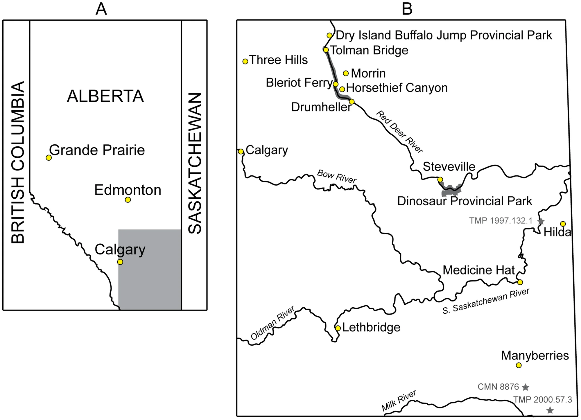 Figure 1. Geographic distribution of Albertan ankylosaurids.