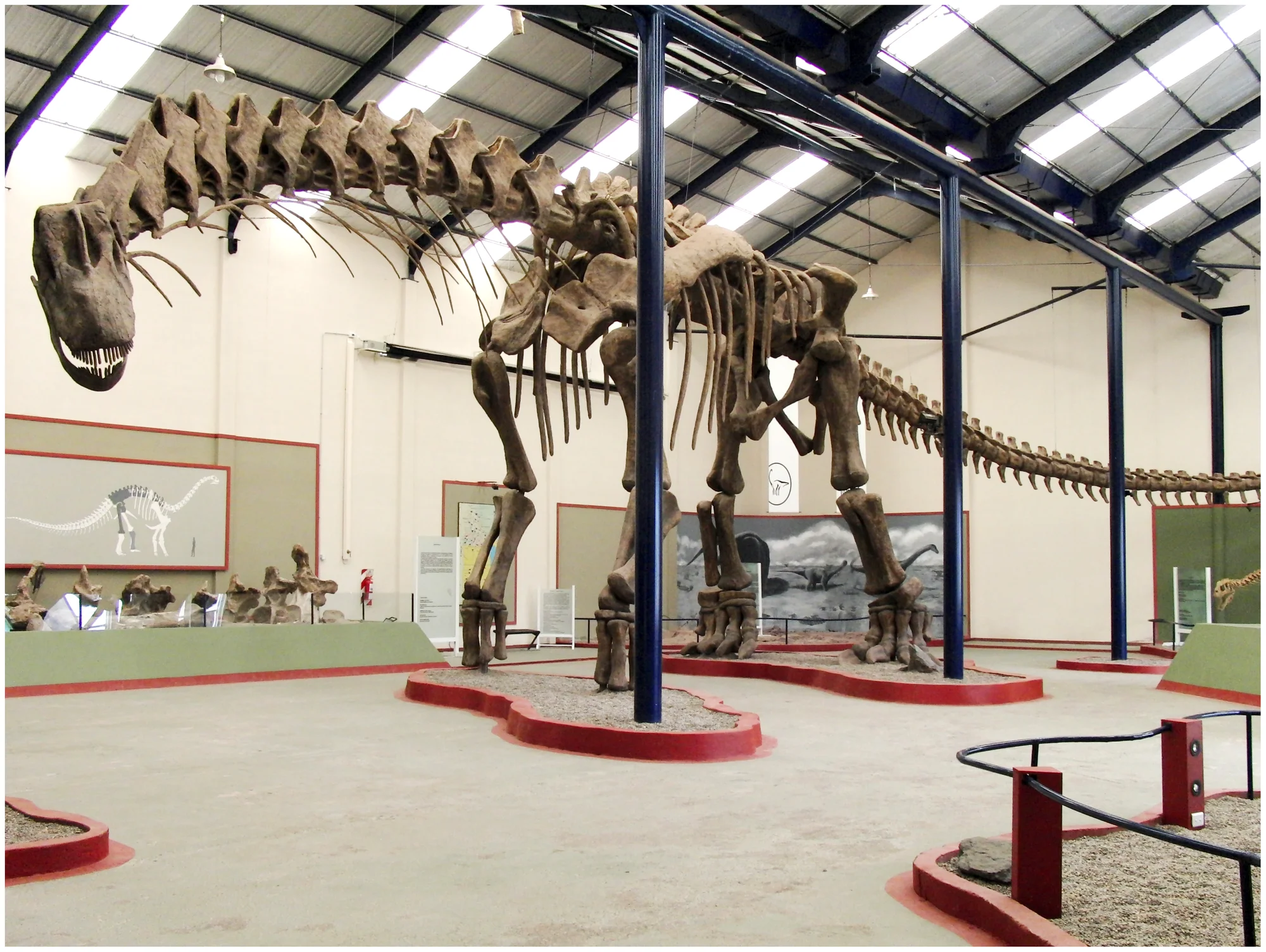 Figure 1. Argentinosaurus huinculensis reconstruction at Museo Municipal Carmen Funes, Plaza Huincul, Neuquén, Argentina.