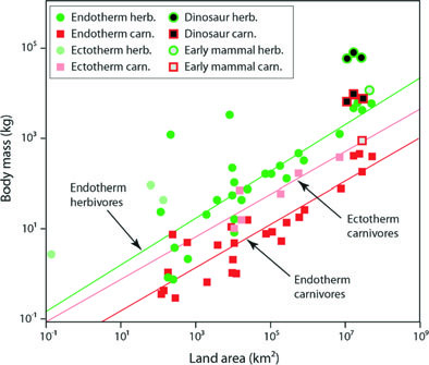 Body mass of the largest species inhabiting a land mass