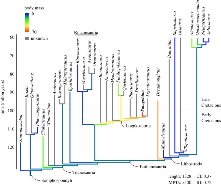 Phylogenetic relationships of Patagotitan mayorum and body mass evolution in Somphospondyli. Reduced strict consensus tree (excluding Sauroposeidon , Ligabuesaurus and Trigonosaurus ) calibrated against age. Branch colours indicates body mass inferred through scaling equation [ 37 ] and continuous character optimization in TNT (ancestral branches). See electronic supplementary material for complete phylogenetic analysis, body mass optimization and taxon definitions followed here.
