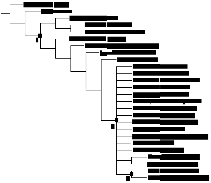 Strict consensus of 195 MPT based on Carballido and Sander (2013). Nodes: 1 –