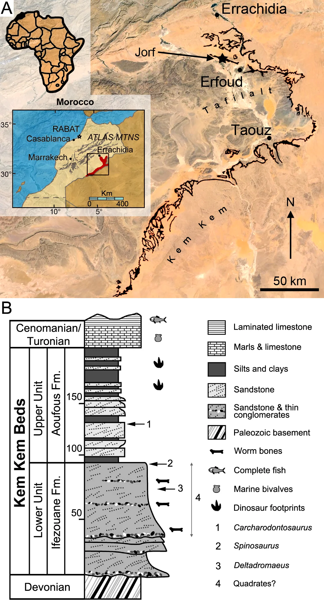 Fig 1. Geographical location and stratigraphy of the Kem Kem beds.