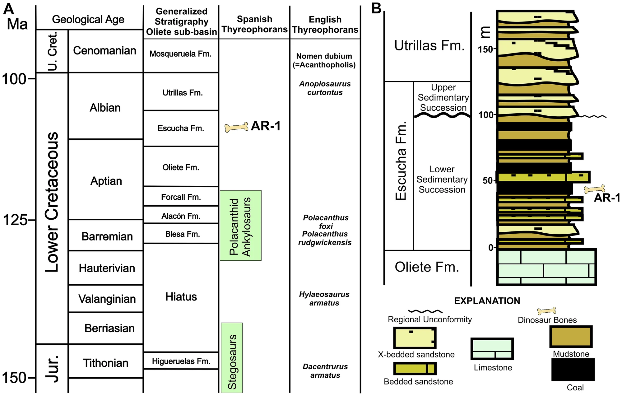 Figure 2. Generalized stratigraphy.