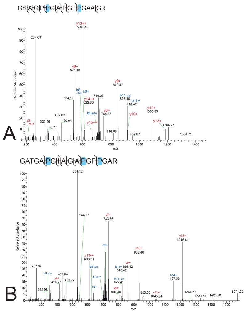 Annotated spectra of B. canadensis peptides identified in both the current analysis of MOR 2598 and Schweitzer et al. 28 Blue highlights denote a hydroxylation of a proline residue. (A) Collagen I alpha 1 peptide GSAGPPGATGFPGAAGR (20141017_Brachy_G_02.RAW; scan #1308). (B) Collagen I alpha 1 peptide GATGAPGIAGAPGFPGAR (20141017_Brachy_G_02.RAW; average of scans #1906, #1958, #1940, #1885).
