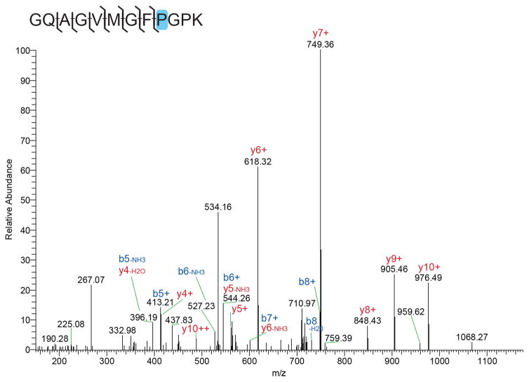 Annotated spectra of a new collagen I alpha 1 peptide of B. canadensis identified in this study, GQAGVMGFPGPK (20141017_Brachy_G_02.RAW; scan #2402). Blue highlight denotes a hydroxylation of a proline residue.