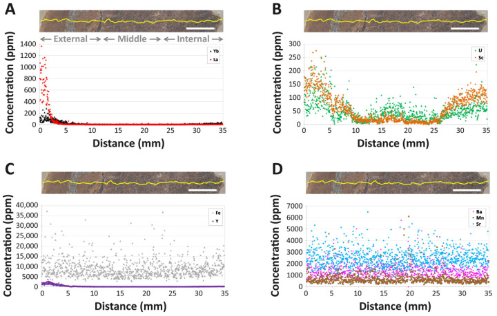 Intra-bone concentration gradients of various elements in the tibia of MOR 2598. ( A ) Lanthanum (La) and ytterbium (Yb). ( B ) Scandium (Sc) and uranium (U). ( C ) Iron (Fe) and yttrium (Y). ( D ) Barium (Ba), manganese (Mn), and strontium (Sr). Note the different concentration scales for each panel. The laser track is denoted by the yellow line in each bone cross section. Gray text labels in ( A ) span the approximate regions considered as the ‘external’, ‘middle’, and ‘internal’ cortices. Sca