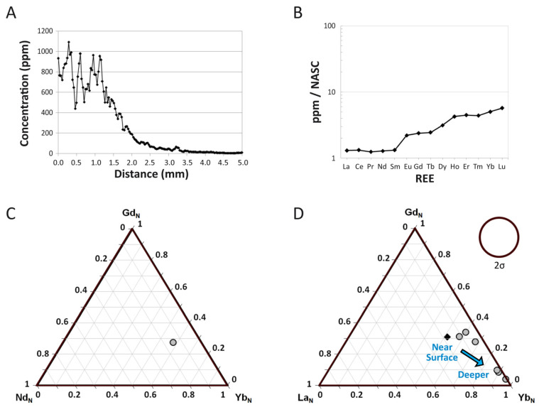 REE composition of the tibia of MOR 2598. ( A ) Three-point moving average profile of La concentrations in the outermost 5 mm of the bone. ( B ) Average NASC-normalized REE composition of the fossil specimen as a whole. ( C , D ) Ternary diagrams of NASC-normalized REE. ( C ) Average composition of the bone. ( D ) REE compositions divided into data from each individual laser transect (~5 mm of data each). Compositional data from the transect that included the outer bone edge is denoted by a dark