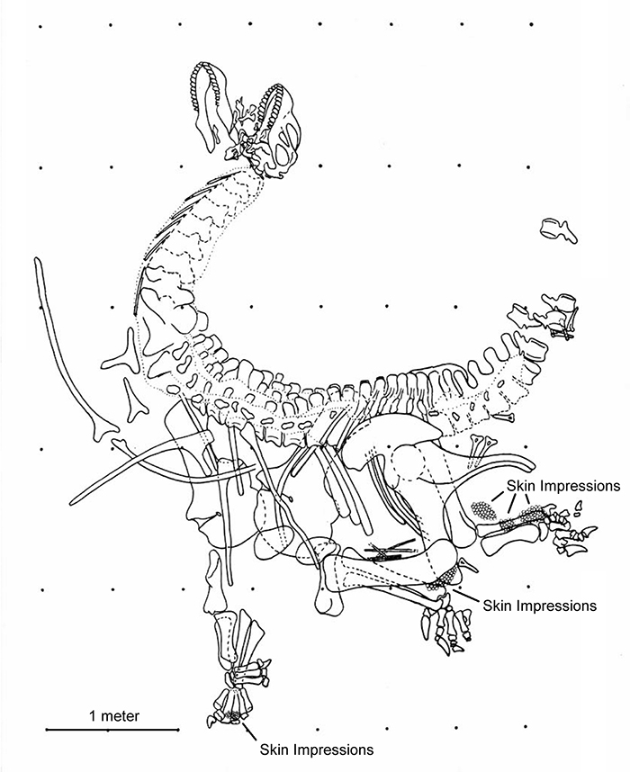 s figure 3