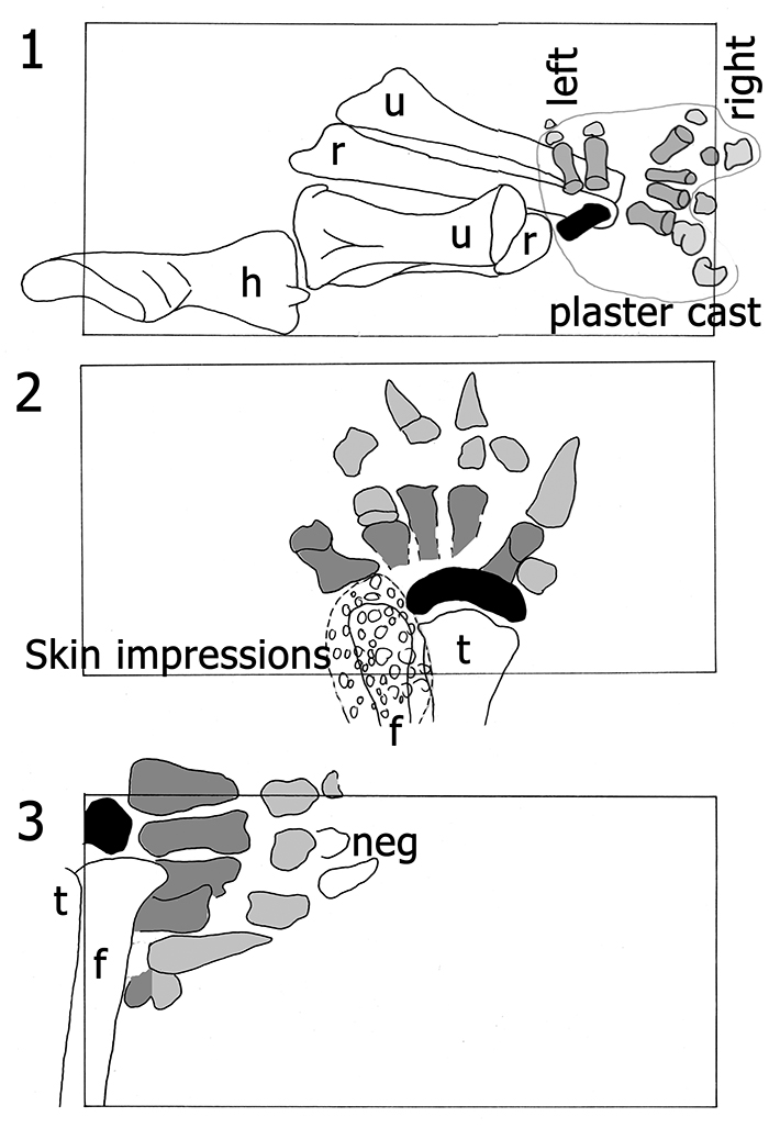 s figure 4