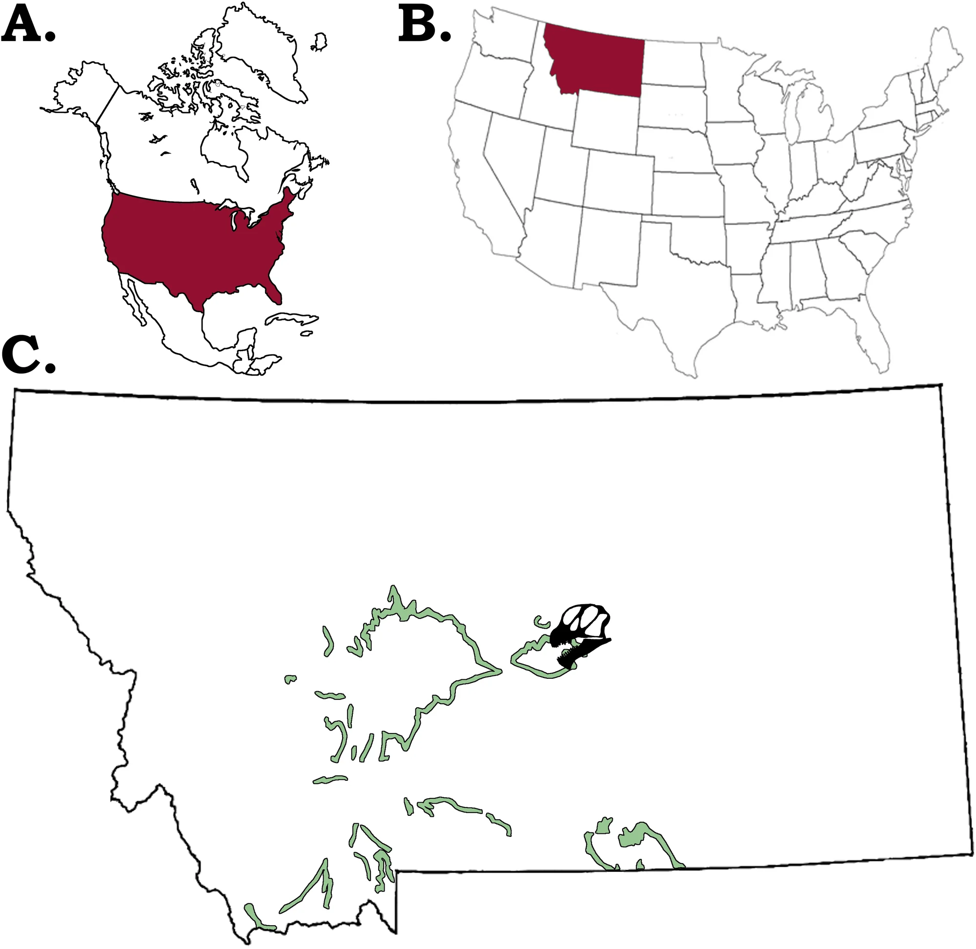 Fig 2. Location of the Camarasaurus sp. GPDM 220.