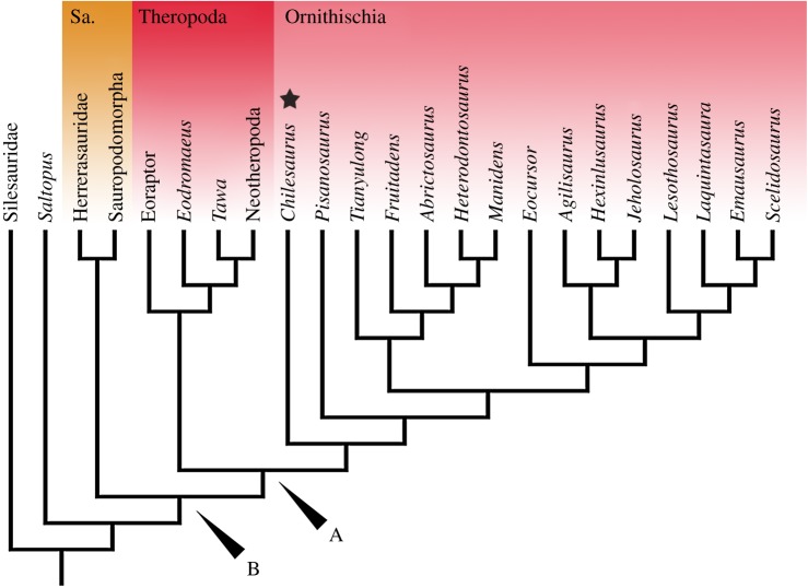 Strict consensus tree produced using the correct dataset from Baron & Barrett [ 1 ], which places Chilesaurus within Ornithischia. Sa., Saurischia; A, Ornithoscelida; B, Dinosauria.