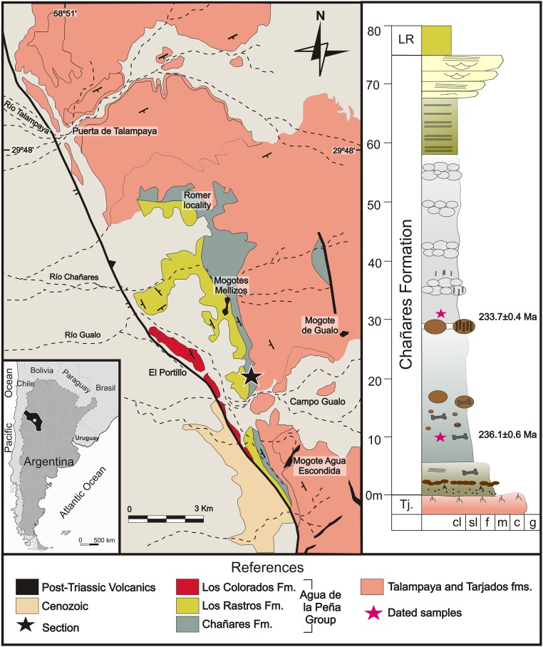 Geological map of the Chañares–Gualo area in Talampaya National Park (La Rioja Province). The main fossiliferous localities are the Romer locality and Río Gualo. The latter locality is where the detailed section ( SI Appendix ) was measured. ( Right ) Generalized stratigraphic column from Río Gualo showing the sampled levels. For additional references, see SI Appendix .