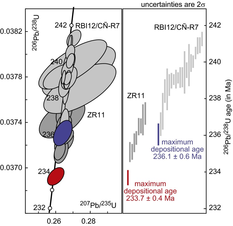 ID-TIMS U–Pb single-zircon analyses for samples RBI12/CN-R7 (light gray/blue) and ZR11 (dark gray/red). Panels show concordia plot ( Left ) and age-ranked representation ( Right ), including age interpretation considering the youngest age of each sample as maximum depositional age. Data and further discussion of these analyses can be found in SI Appendix .
