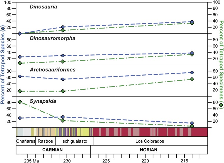 The record of early dinosauromorph evolution in the Ischigualasto–Villa Union Basin as calibrated by biostratigraphically independent geochronology. Relative abundance of specimens and relative richness of species for the tetrapod clades Synapsida, Archosauriformes (including Dinosauromorpha), Dinosauromorpha (including Dinosauria), and Dinosauria are plotted vs. time in millions of years. The Exaeretodon biozone of the upper Ischigualasto Formation is excluded from these plots because of its lo