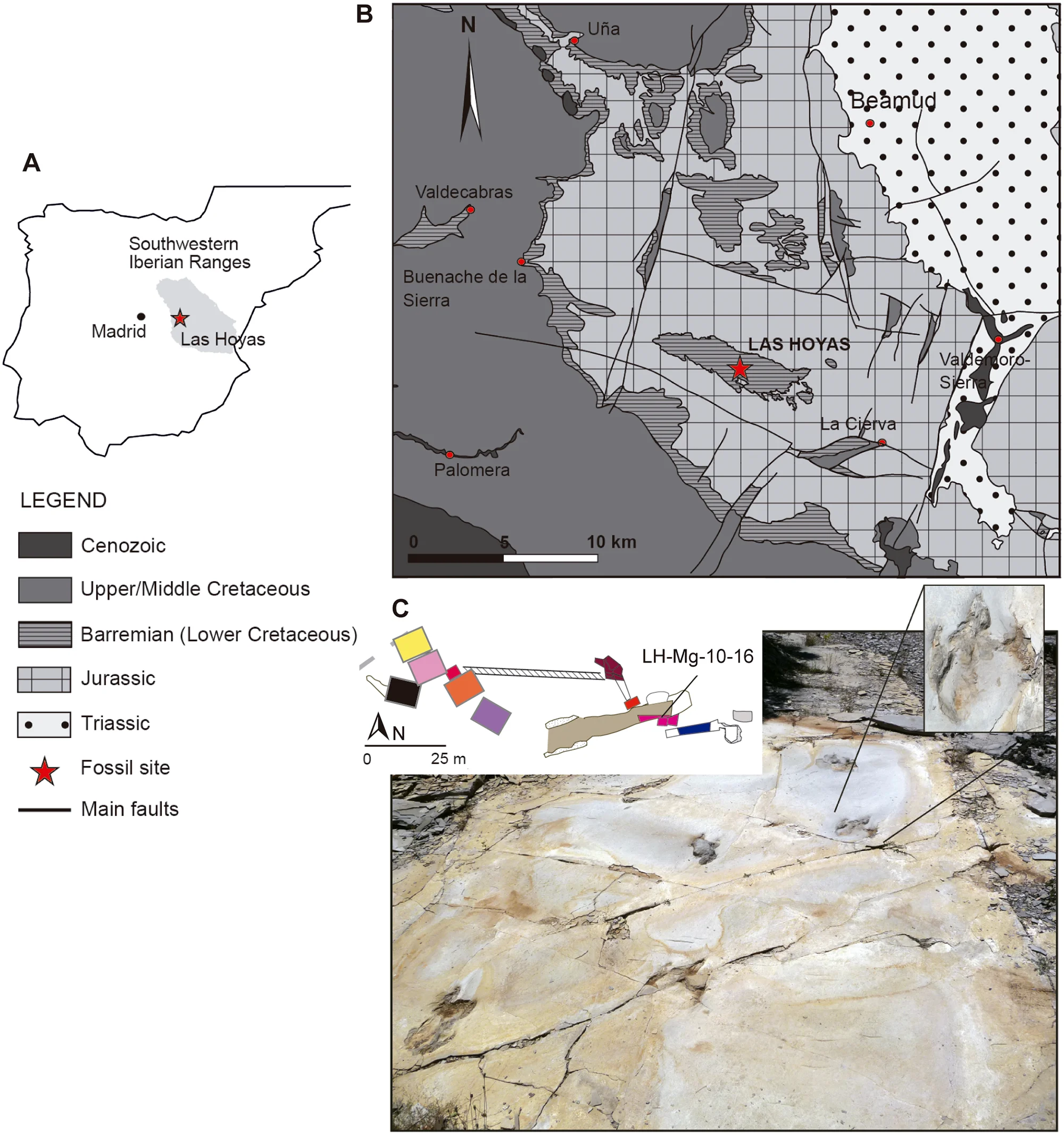 Fig 1. Geological settings and fossil site.