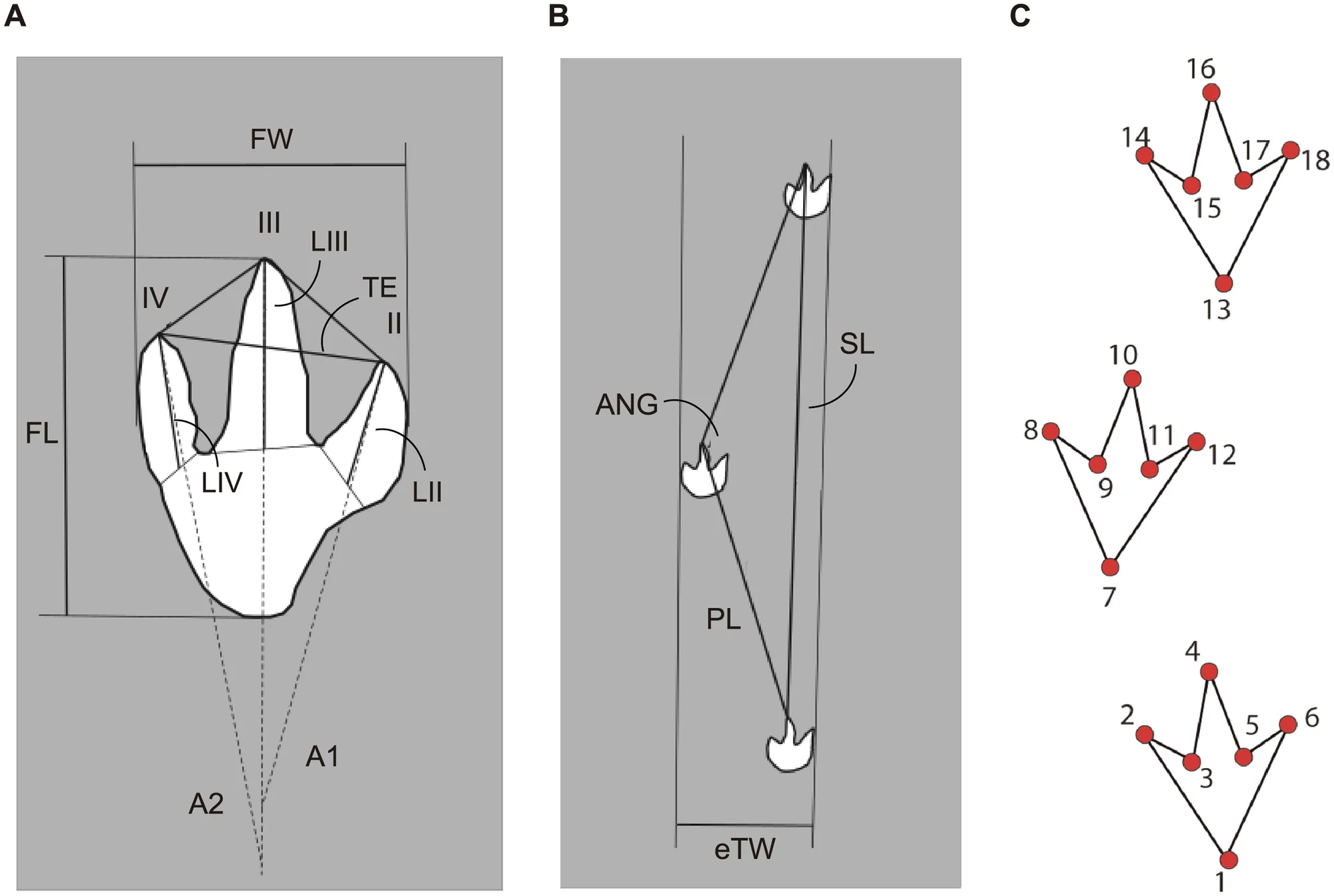 Fig 2. Metrics used.