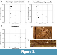 s figure3