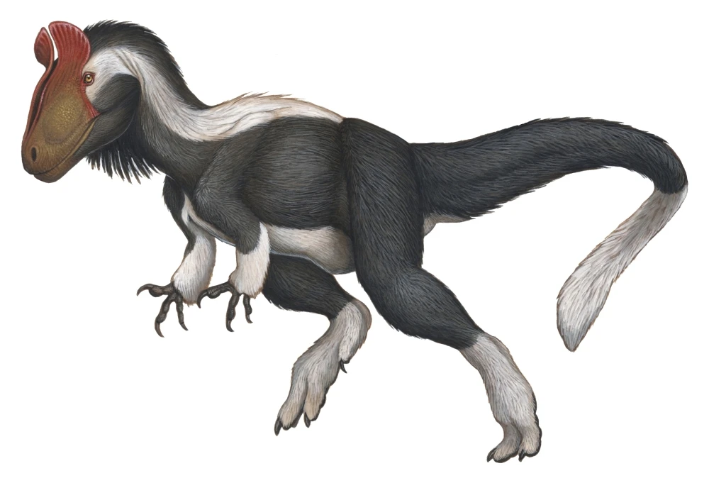 Feathered reconstruction of Cryolophosaurus ellioti, with hypothetical filamentous covering consistent with the seasonal high-latitude climate of Early Jurassic Antarctica.