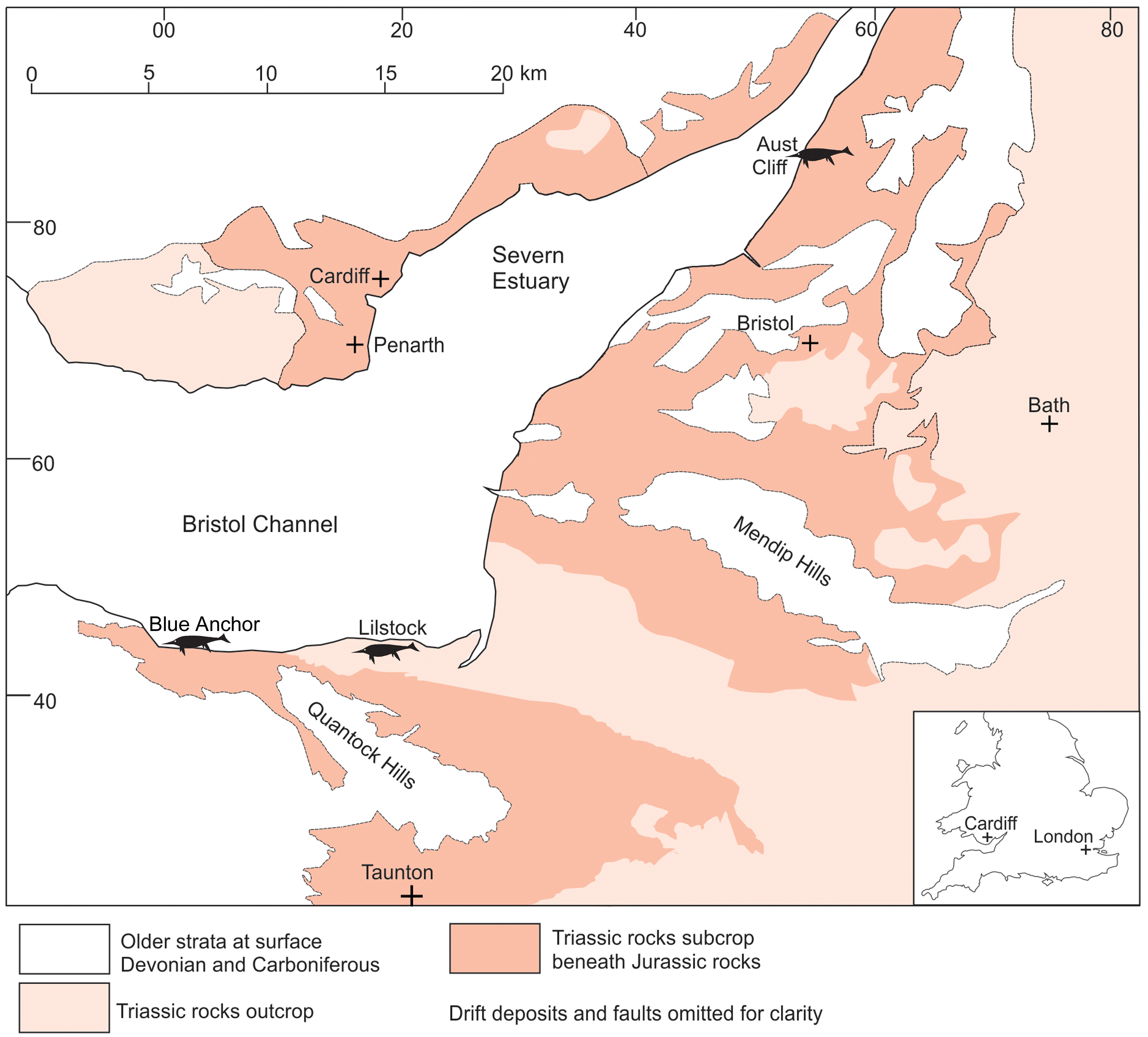 Fig 1. Distribution of the Triassic rocks in the Bristol Channel–Severn Estuary area and the three key ichthyosaur localities (where specimens discussed herein were found) referred to in the text.