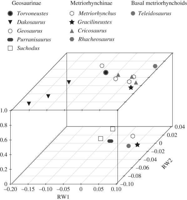 Relative warps dorsal-aspect cranial morphospace, delimited by the first two axes divided into Late Jurassic (upper plot) and Middle Jurassic (lower plot). Note that the mean position for species with multiple specimens was taken.