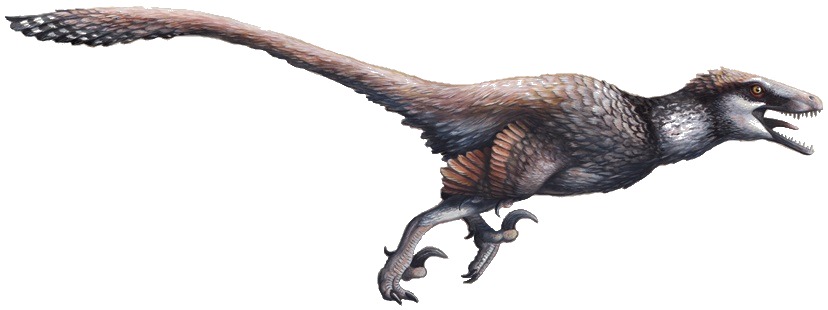 Dakotaraptor