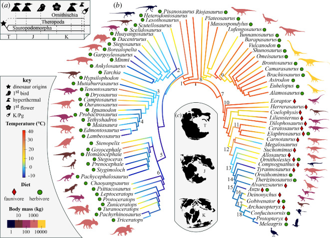 Evolution of macroecological traits in Dinosauria. Large scale event in dinosaur evolution ( a ); the origin of dinosaurs (star), hyperthermals (volcano), the earliest fossil Avialae (bird), the earliest fossil angiosperm (flower), the Cretaceous/Palaeogene mass extinction (asteroid). Phylogeny of dinosaurs ( b ) redrawn from Sereno [ 2 ] and adapted to the current consensus and upon which an ancestral state reconstruction of temperature niche (mean annual temperature) after Chiarenza et al . [ 