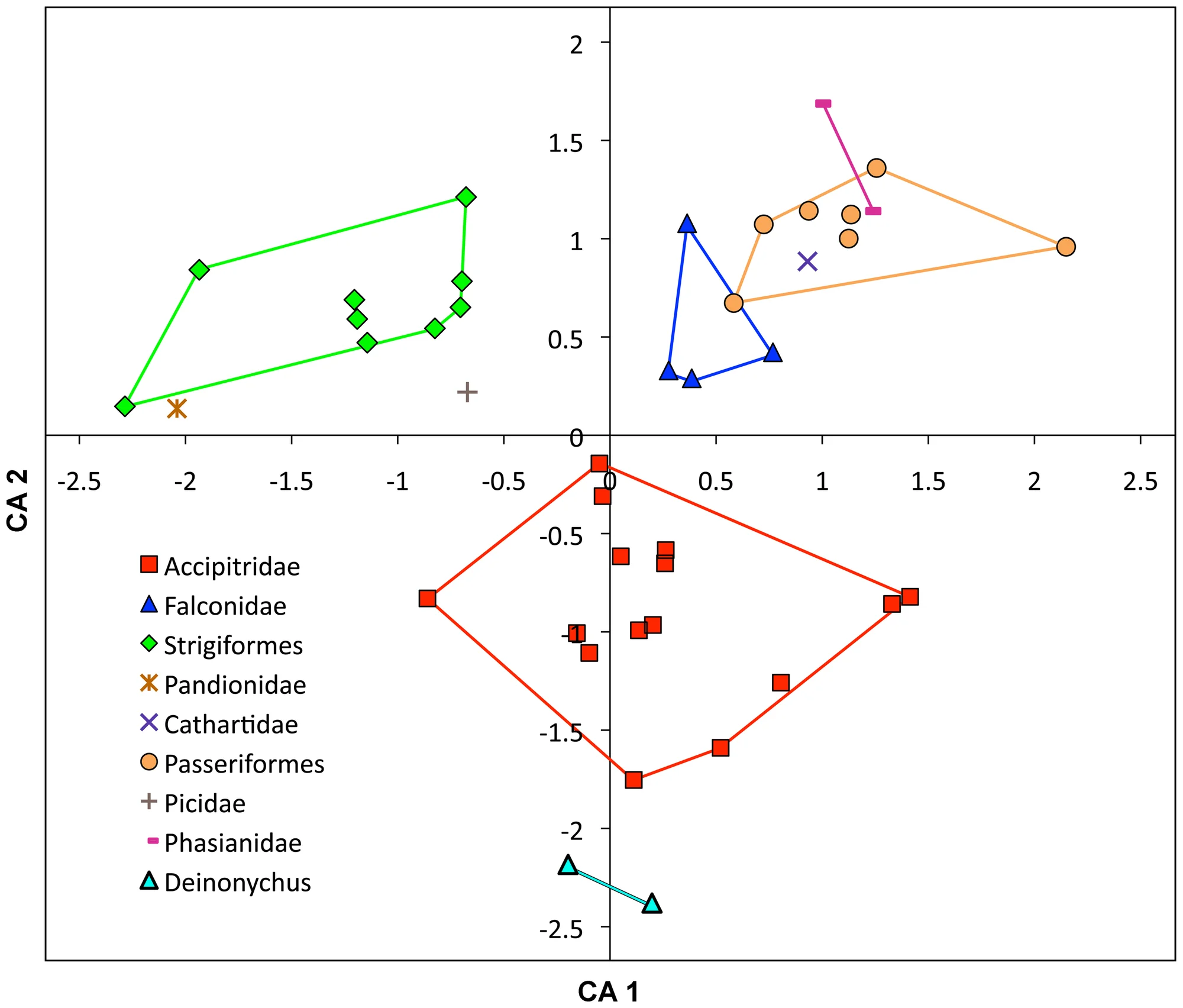 Figure 3. Correspondence Analysis comparing relative ungual and digit sizes of Deinonychus and extant avians.