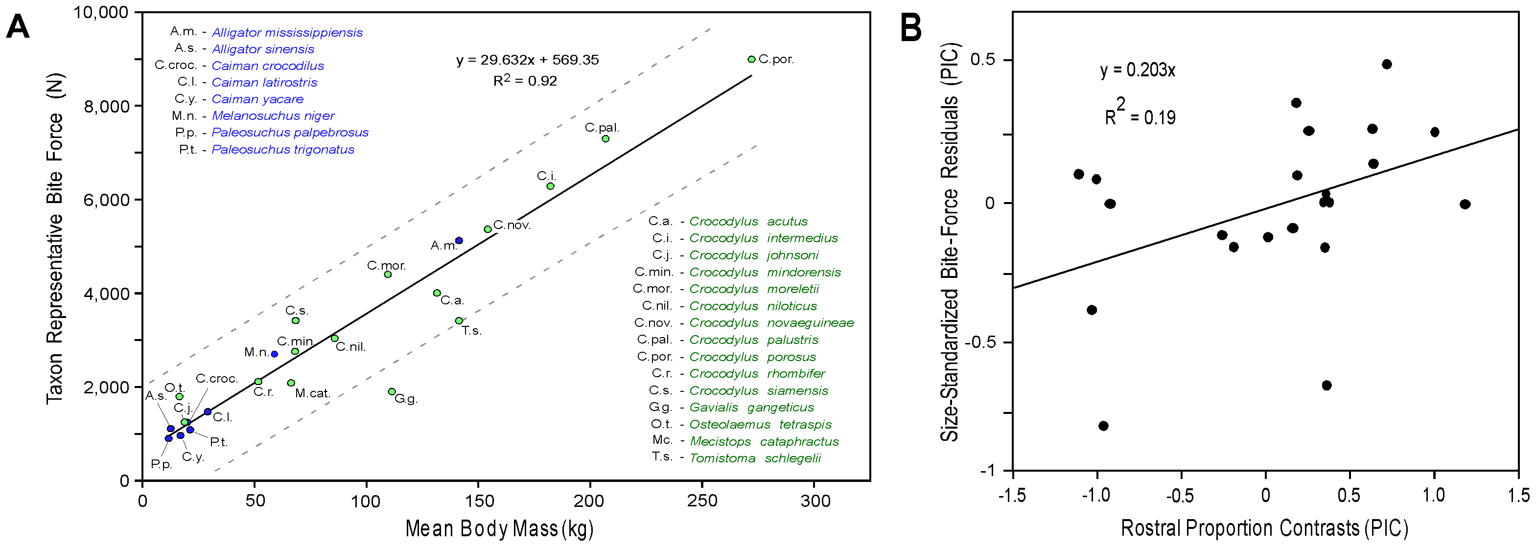 Figure 3. Taxon representative adult bite forces for extant Crocodylia with respect to mean body mass and the relationship between rostral proportion and force generation.