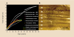 Figure 2: Growth rates of crocodylians and osteoderm growth rings.