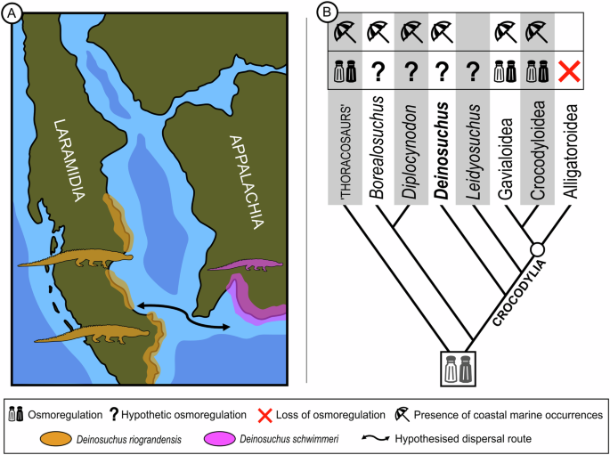 Fig. 4: Palaeobiogeography of Deinosuchus spp.