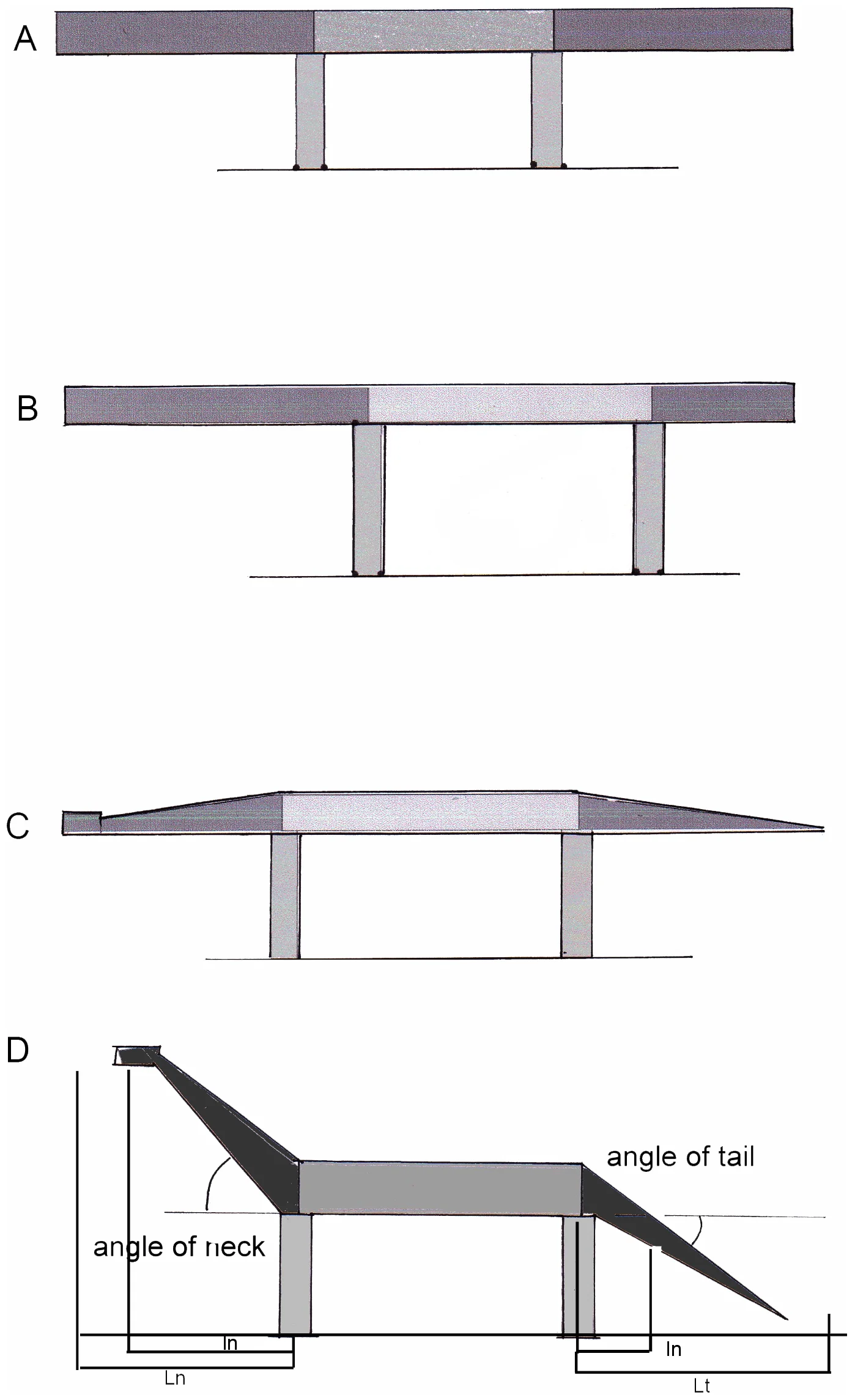 Figure 3. Simplified model of a sauropod dinosaur: A heavy beam on two pairs of support (limbs).