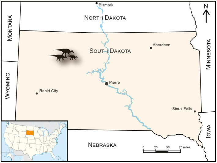 Geographic maps of the United States (a) and South Dakota (b) denoting the location of the Ruth Mason dinosaur quarry (RMDQ)