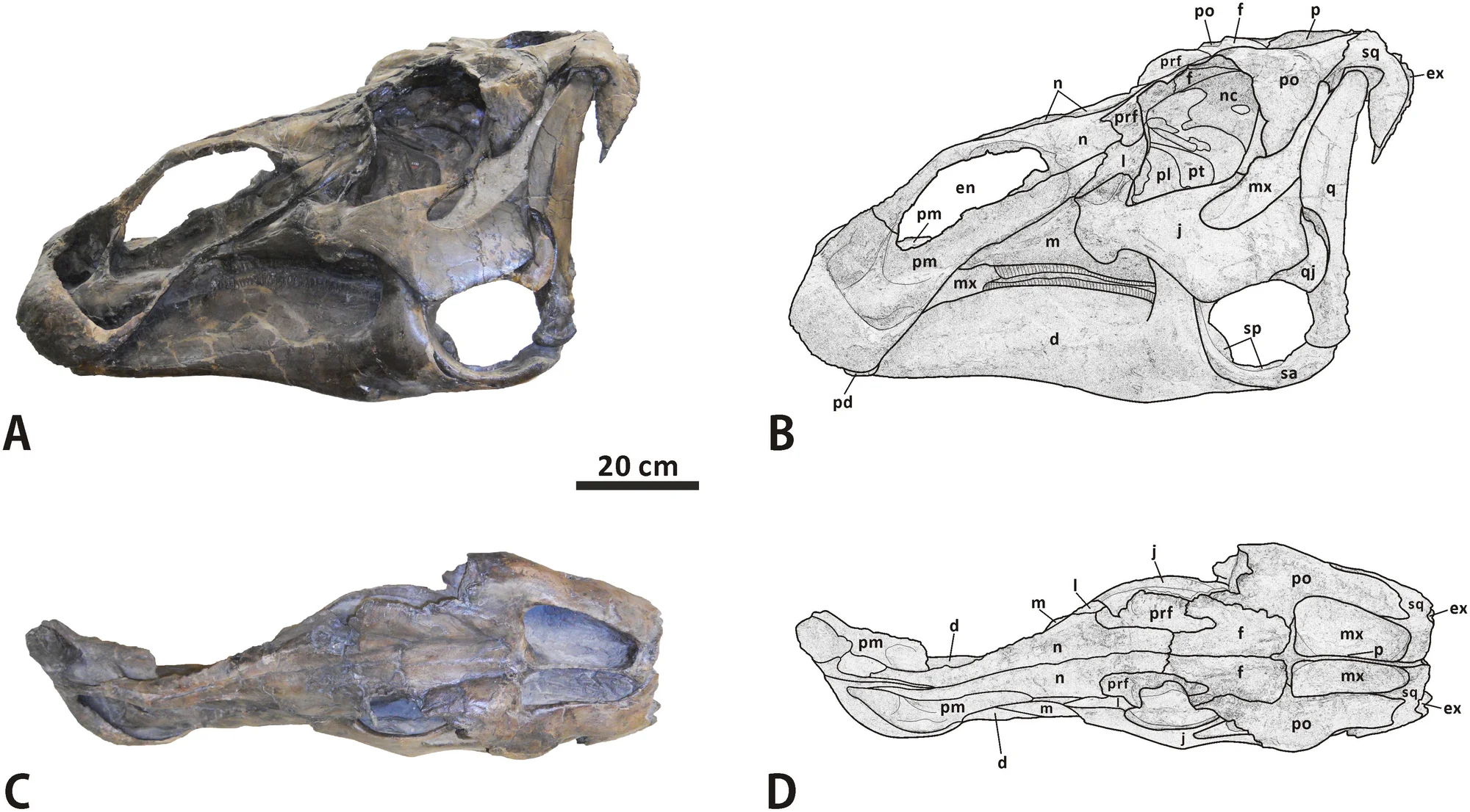 Fig 3.