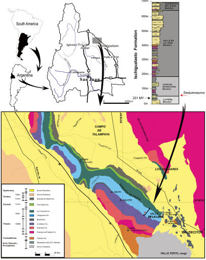 Geological map of the Ischigualasto – Villa Unión Basin (northwestern Argentina) and section of the Ischigualasto Formation at the type locality. The red star indicates the site of the holotype of Sanjuansaurus gordilloi (PVSJ 605), near the base of the Ischigualasto Formation.