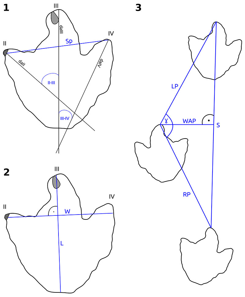 s figure 3