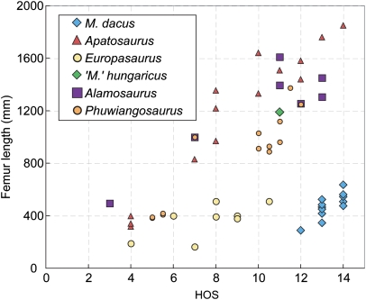 Plot of histologic ontogenetic stage (HOS) ( 35 ) vs. body size as expressed by femur length in Magyarosaurus dacus , compared with Europasaurus, Apatosaurus, Alamosaurus, and Phuwiangosaurus . The samples of Magyarosaurus dacus derive from humeri that were normalized to femur length. The single “ M” ' hungaricus sample is also included. Data for Alamosaurus were obtained from a previous report ( 38 ), supported by own data. Data for Phuwiangosaurus were obtained from another report ( 37 ).