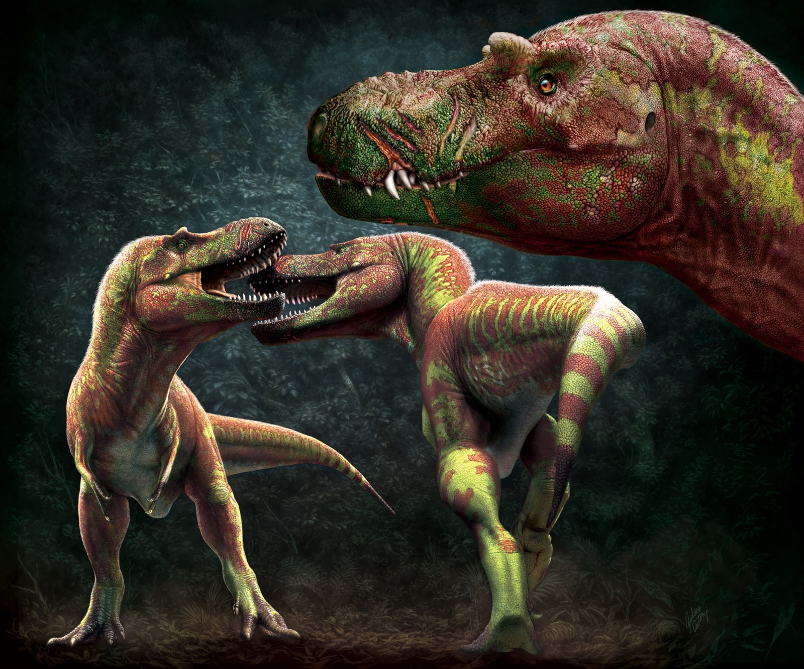 Figura 12 de Brown et al. (2022): reconstituições artísticas de comportamento agonístico intraespecífico. À esquerda, dois Gorgosaurus se enfrentando com mordidas faciais. À direita, o resultado após o combate, mostrando cicatrizes recentes e antigas. Arte de Julius T. Csotonyi.