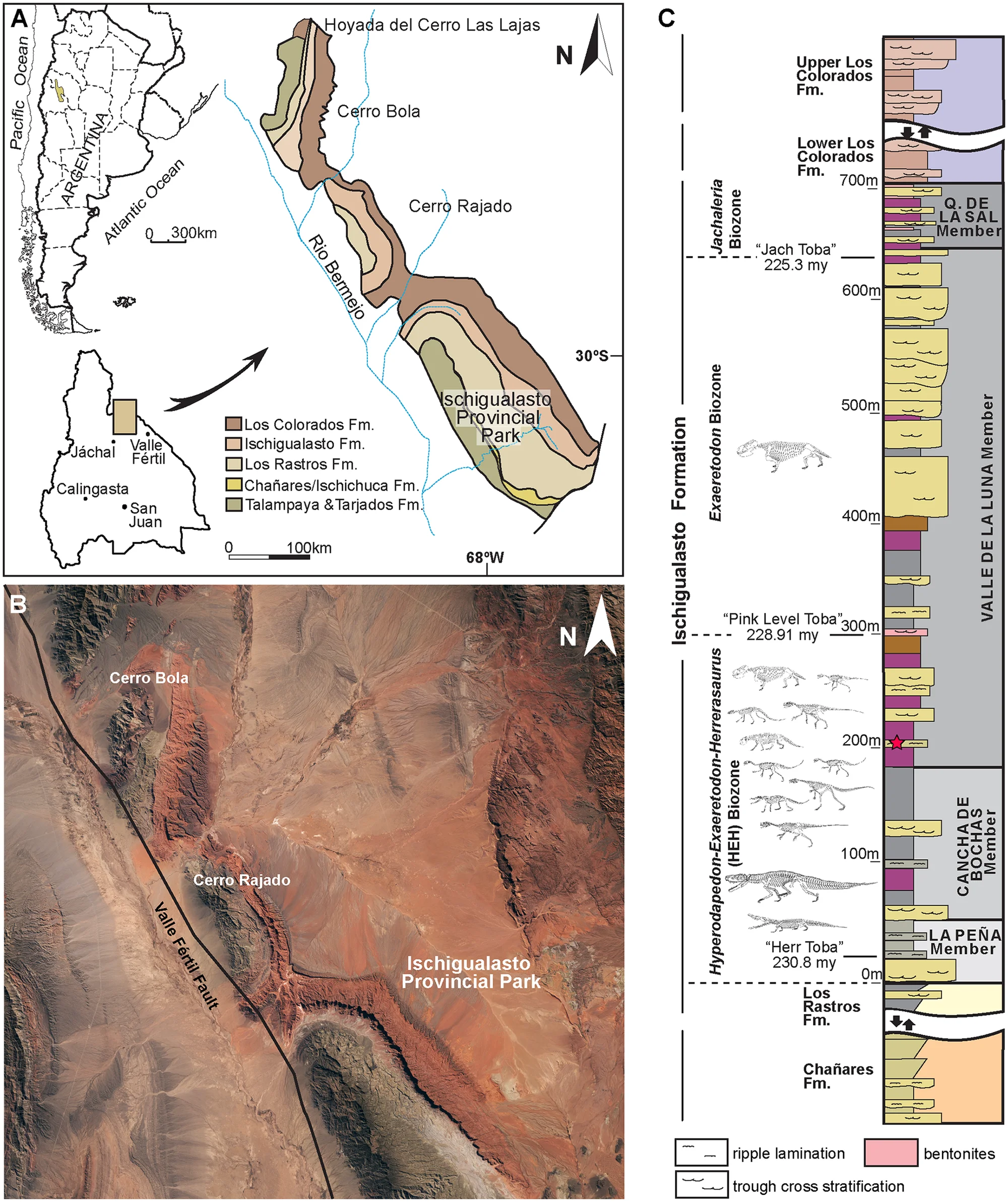 Fig 2. The late triassic ischigualasto formation, northwestern Argentina.